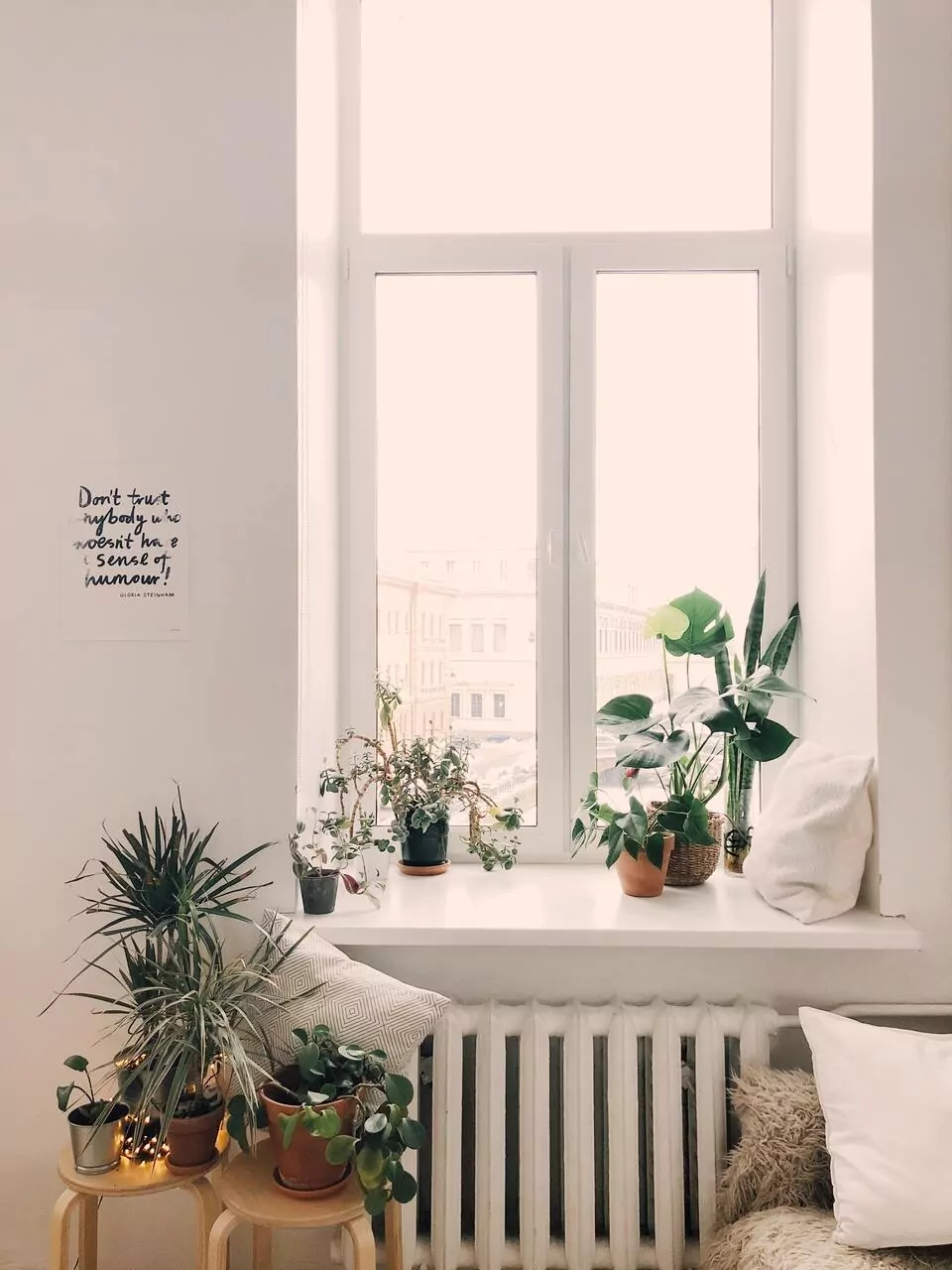Busco habitación